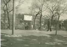 Habrmannovo náměstí, 1955. Zdroj: Archiv města Plzně, Sbírka fotografií, i. č. O 2289b, sign. LP297/79b.