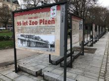 Výstava 95 let Zoo Plzeň (1926–2021). Zdroj: Archiv města Plzně.