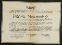 Pavel Nebeský